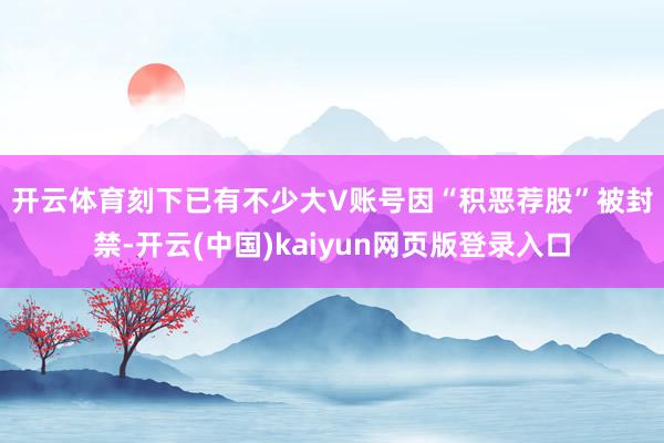 开云体育　　刻下已有不少大V账号因“积恶荐股”被封禁-开云(中国)kaiyun网页版登录入口