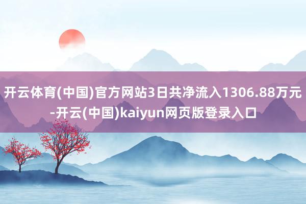 开云体育(中国)官方网站3日共净流入1306.88万元-开云(中国)kaiyun网页版登录入口