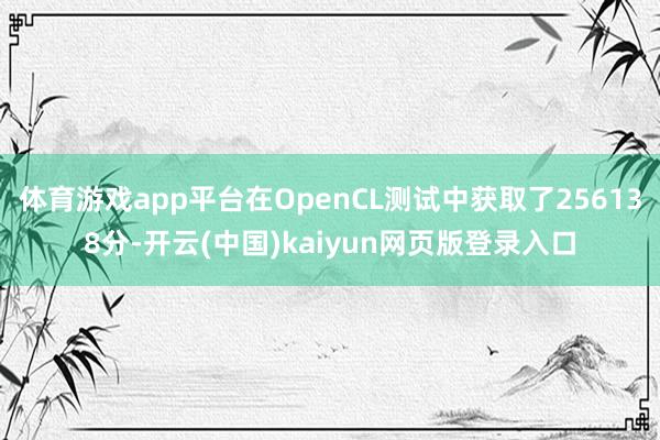 体育游戏app平台在OpenCL测试中获取了256138分-开云(中国)kaiyun网页版登录入口