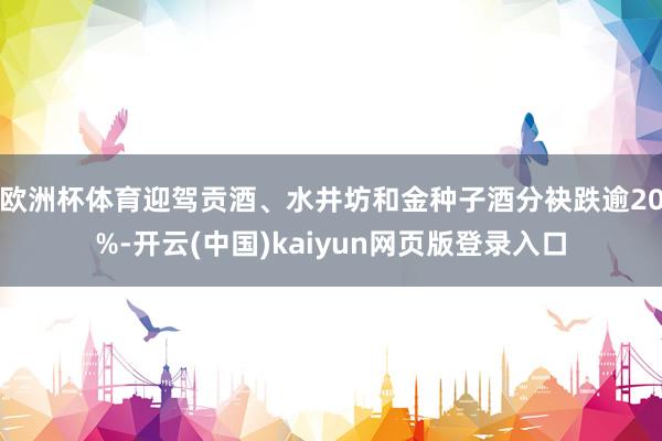 欧洲杯体育迎驾贡酒、水井坊和金种子酒分袂跌逾20%-开云(中国)kaiyun网页版登录入口