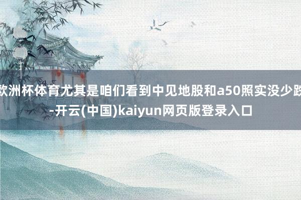 欧洲杯体育尤其是咱们看到中见地股和a50照实没少跌-开云(中国)kaiyun网页版登录入口