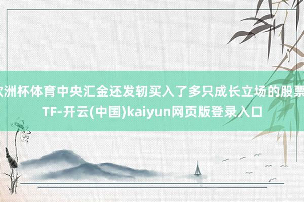 欧洲杯体育中央汇金还发轫买入了多只成长立场的股票ETF-开云(中国)kaiyun网页版登录入口
