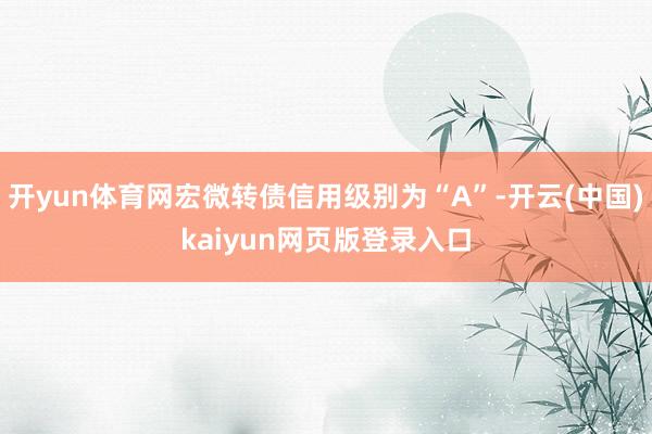 开yun体育网宏微转债信用级别为“A”-开云(中国)kaiyun网页版登录入口