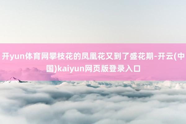 开yun体育网攀枝花的凤凰花又到了盛花期-开云(中国)kaiyun网页版登录入口