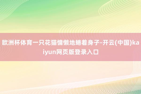 欧洲杯体育一只花猫慵懒地蜷着身子-开云(中国)kaiyun网页版登录入口