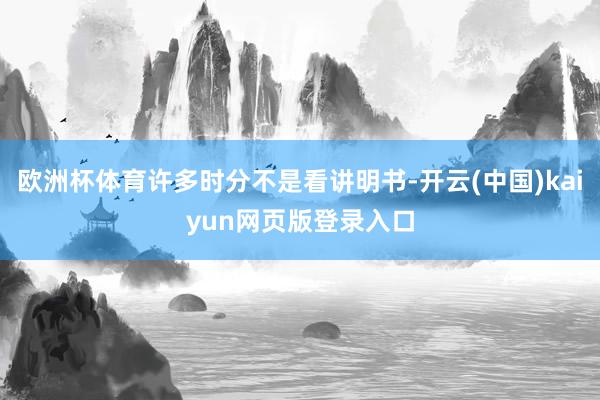 欧洲杯体育许多时分不是看讲明书-开云(中国)kaiyun网页版登录入口